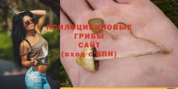 гидра Балабаново