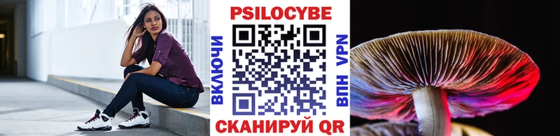 Псилоцибиновые грибы Cubensis  купить  сайты  Питкяранта 